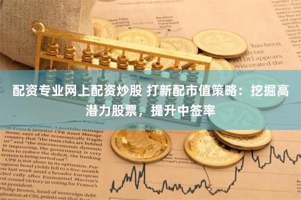 配资专业网上配资炒股 打新配市值策略：挖掘高潜力股票，提升中签率