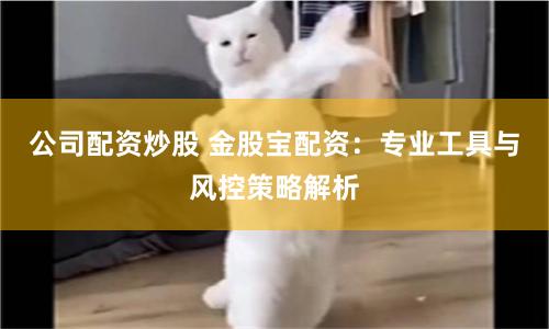 公司配资炒股 金股宝配资：专业工具与风控策略解析