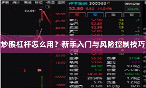 炒股杠杆怎么用？新手入门与风险控制技巧